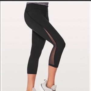 Train Times Crop caprice, brand new with tags.